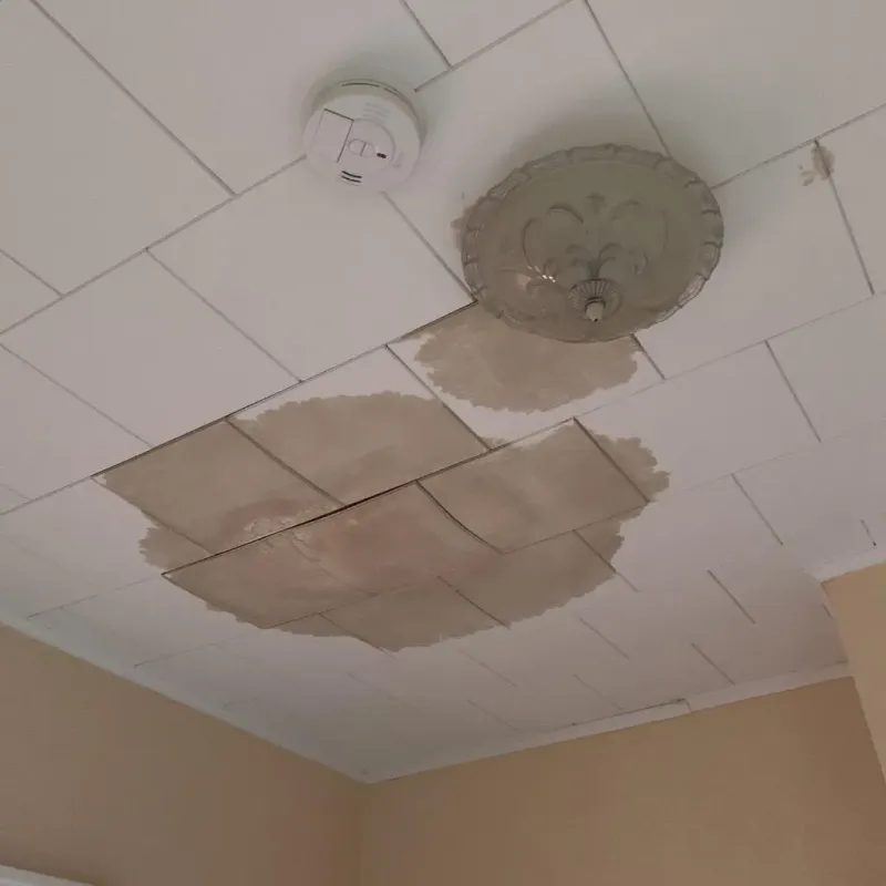 Ceiling Water Damage Repair in West Pittston, PA