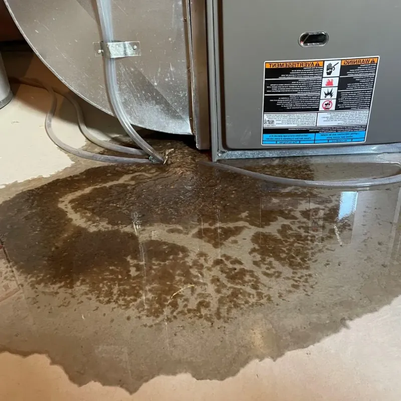 Pipe Burst and Leak Restoration in West Pittston, PA
