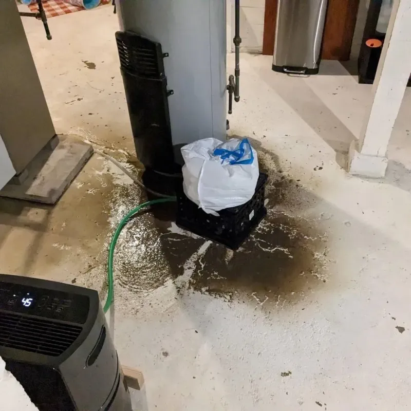 Sewage Backup Cleanup Service in West Pittston, PA